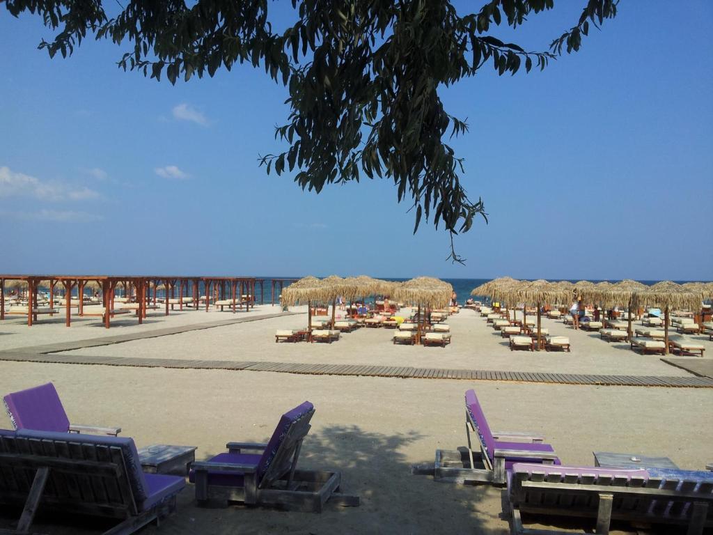 Blue Beach Studios Mamaia Exterior photo